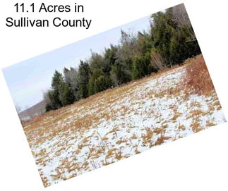 11.1 Acres in Sullivan County