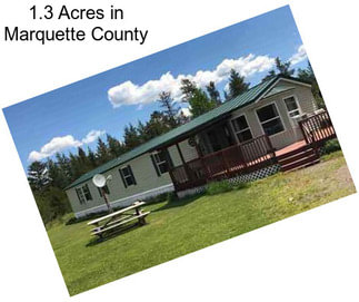 1.3 Acres in Marquette County