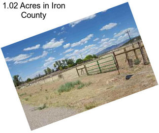 1.02 Acres in Iron County