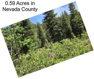 0.59 Acres in Nevada County