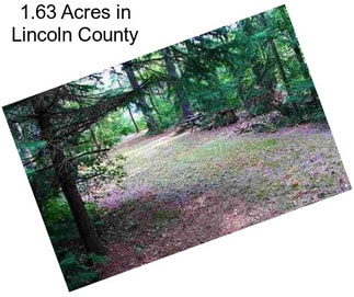 1.63 Acres in Lincoln County