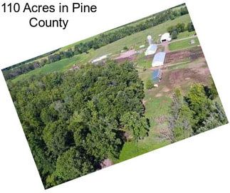 110 Acres in Pine County