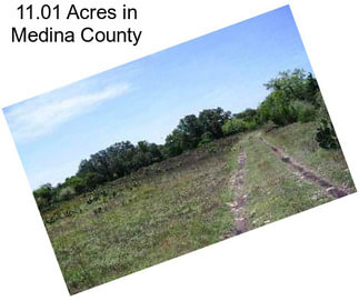 11.01 Acres in Medina County