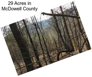 29 Acres in McDowell County