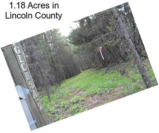 1.18 Acres in Lincoln County