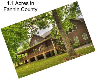 1.1 Acres in Fannin County