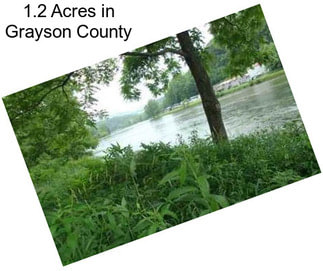 1.2 Acres in Grayson County