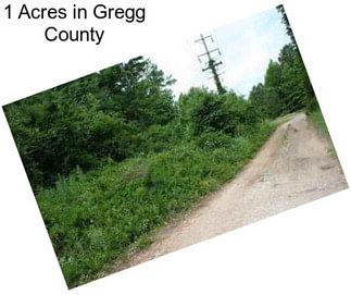 1 Acres in Gregg County