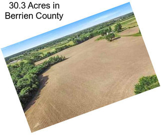 30.3 Acres in Berrien County