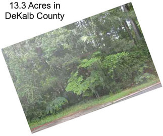 13.3 Acres in DeKalb County