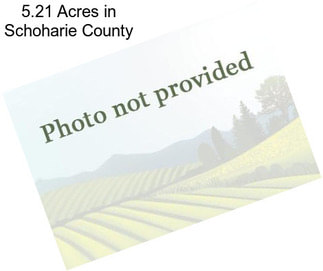 5.21 Acres in Schoharie County