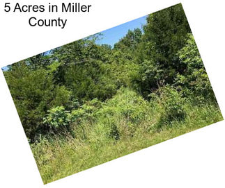 5 Acres in Miller County