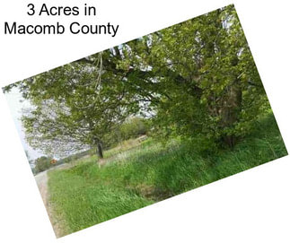 3 Acres in Macomb County