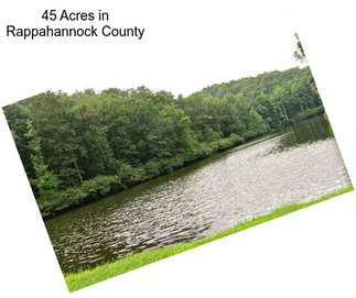 45 Acres in Rappahannock County