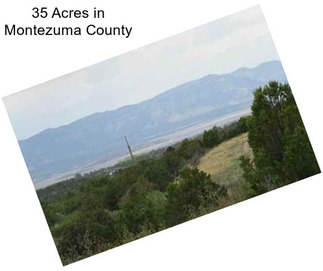 35 Acres in Montezuma County