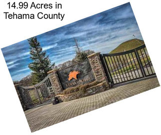 14.99 Acres in Tehama County