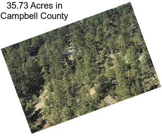 35.73 Acres in Campbell County