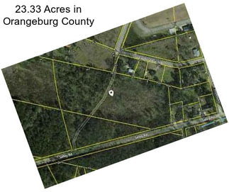 23.33 Acres in Orangeburg County