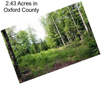 2.43 Acres in Oxford County