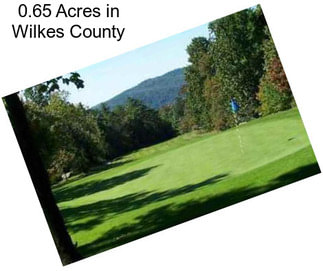 0.65 Acres in Wilkes County