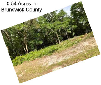 0.54 Acres in Brunswick County