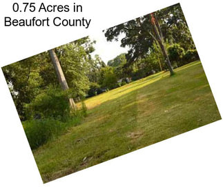 0.75 Acres in Beaufort County