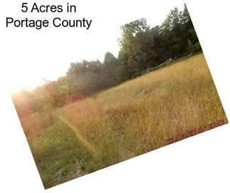 5 Acres in Portage County