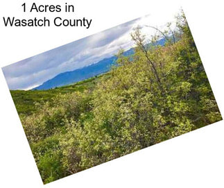 1 Acres in Wasatch County
