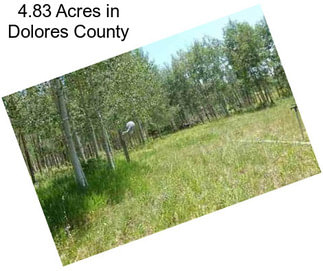 4.83 Acres in Dolores County