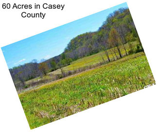 60 Acres in Casey County