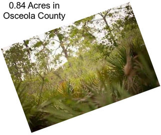 0.84 Acres in Osceola County