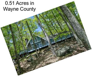 0.51 Acres in Wayne County