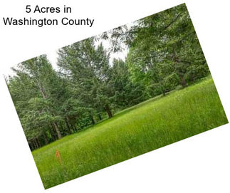 5 Acres in Washington County