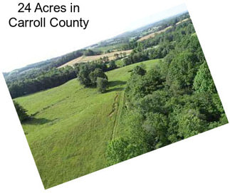 24 Acres in Carroll County