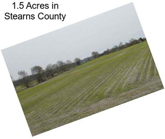 1.5 Acres in Stearns County