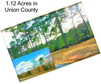 1.12 Acres in Union County