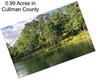 0.99 Acres in Cullman County