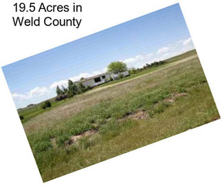 19.5 Acres in Weld County