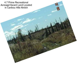 4.7 Prime Recreational Acreage/Vacant Land Located in Caribou Hills Ninilch