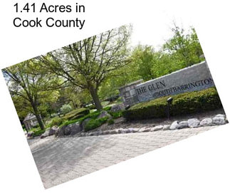 1.41 Acres in Cook County