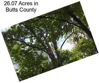 26.07 Acres in Butts County