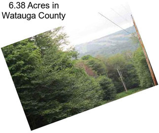 6.38 Acres in Watauga County