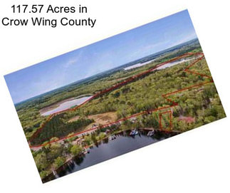 117.57 Acres in Crow Wing County