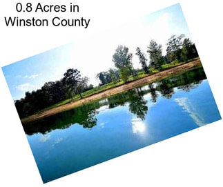 0.8 Acres in Winston County