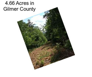 4.66 Acres in Gilmer County