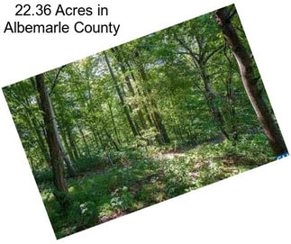 22.36 Acres in Albemarle County