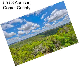 55.58 Acres in Comal County