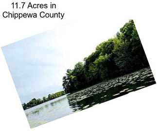 11.7 Acres in Chippewa County