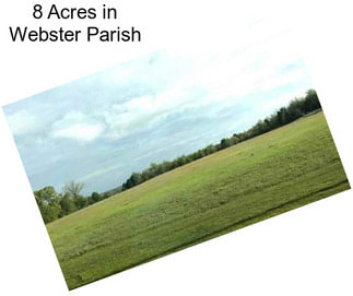 8 Acres in Webster Parish