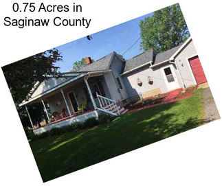 0.75 Acres in Saginaw County